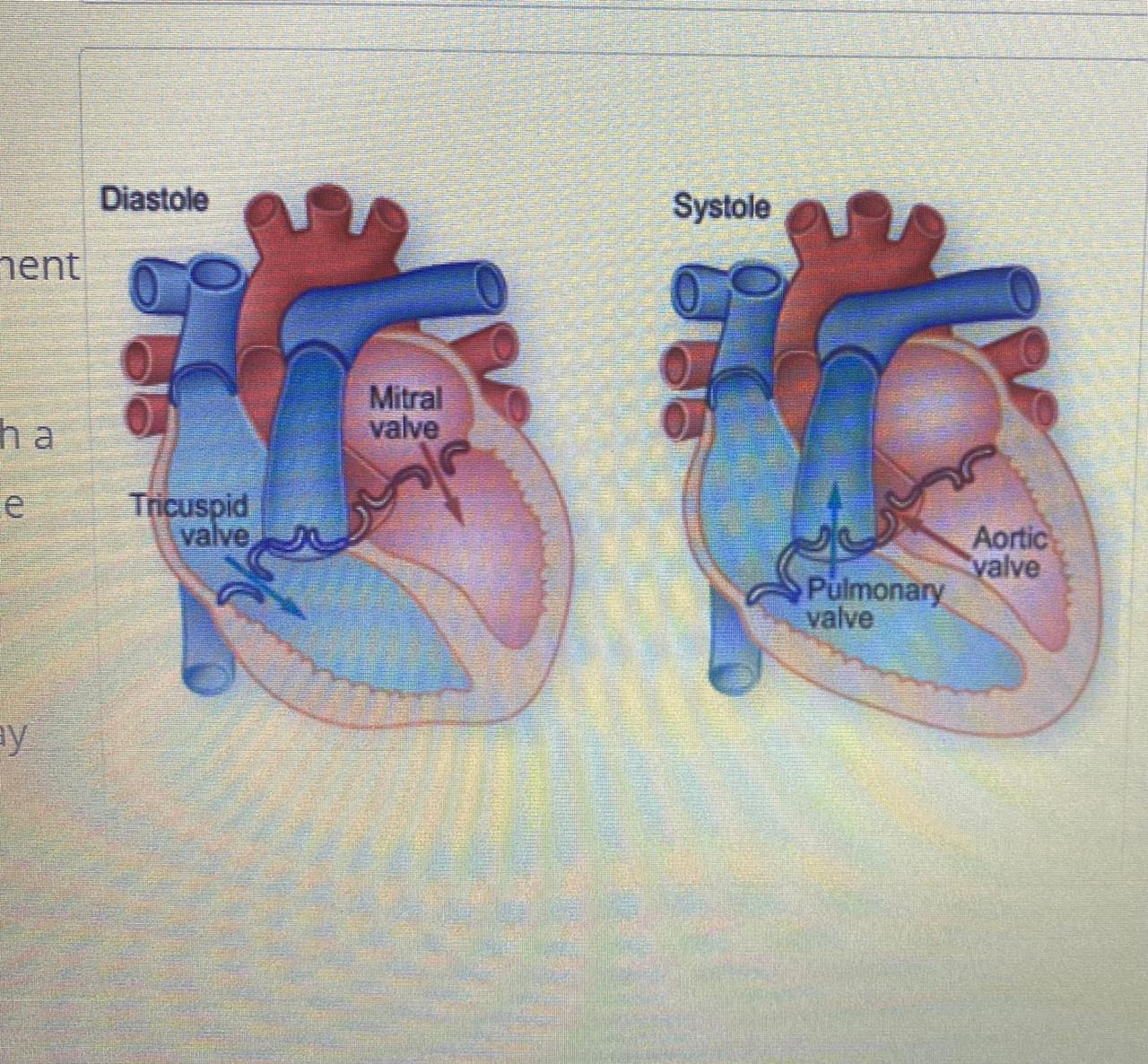 Valve Surgeries